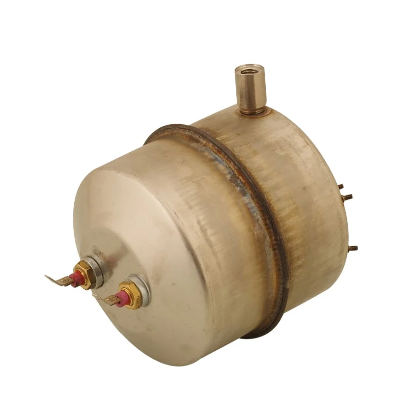 Customizable 600W Steam Boiler Heating Element for Coffee Equipment