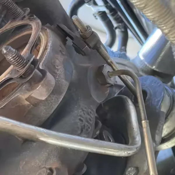 17500619397165-1.网页文件 17500619397165-1.webp