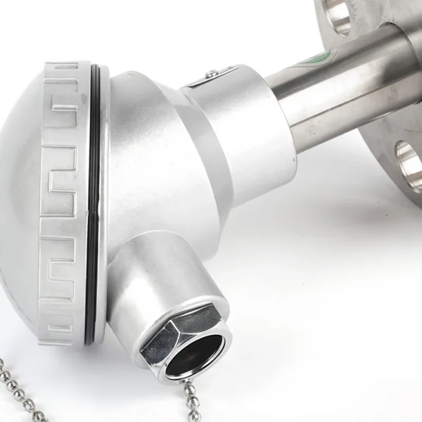 17541210643753-2.เว็บพี 17541210643753-2.webp