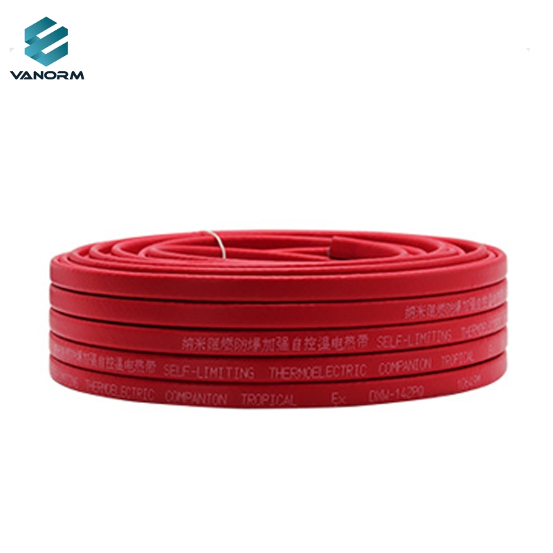 220V 30W Low Voltage Electric Self-Regulating Heating Cable Roof Pipe Driveway Flexible Silicone Heater Automatic Motor - Image 2