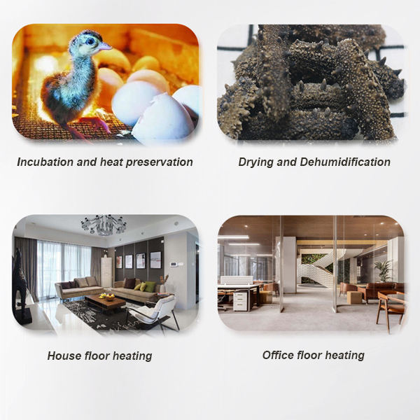 17631764263406-2.png 17631764263406-2.png