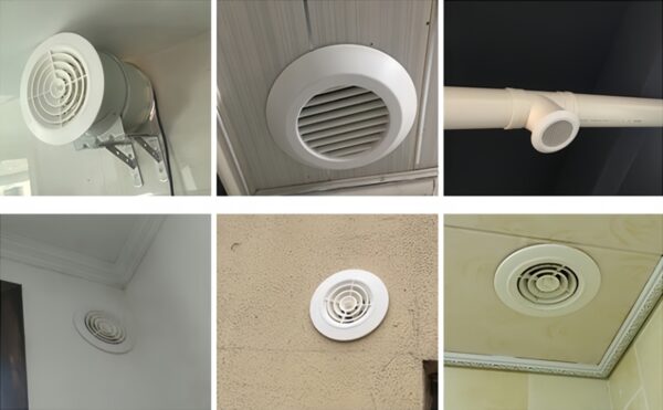 17631778849974.jpg 17631778849974.jpg