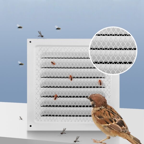 17631779738574..jpg 17631779738574.jpg