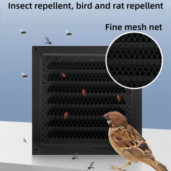 17631779803063..jpg 17631779803063.jpg