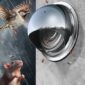 17840392024681.jpg
